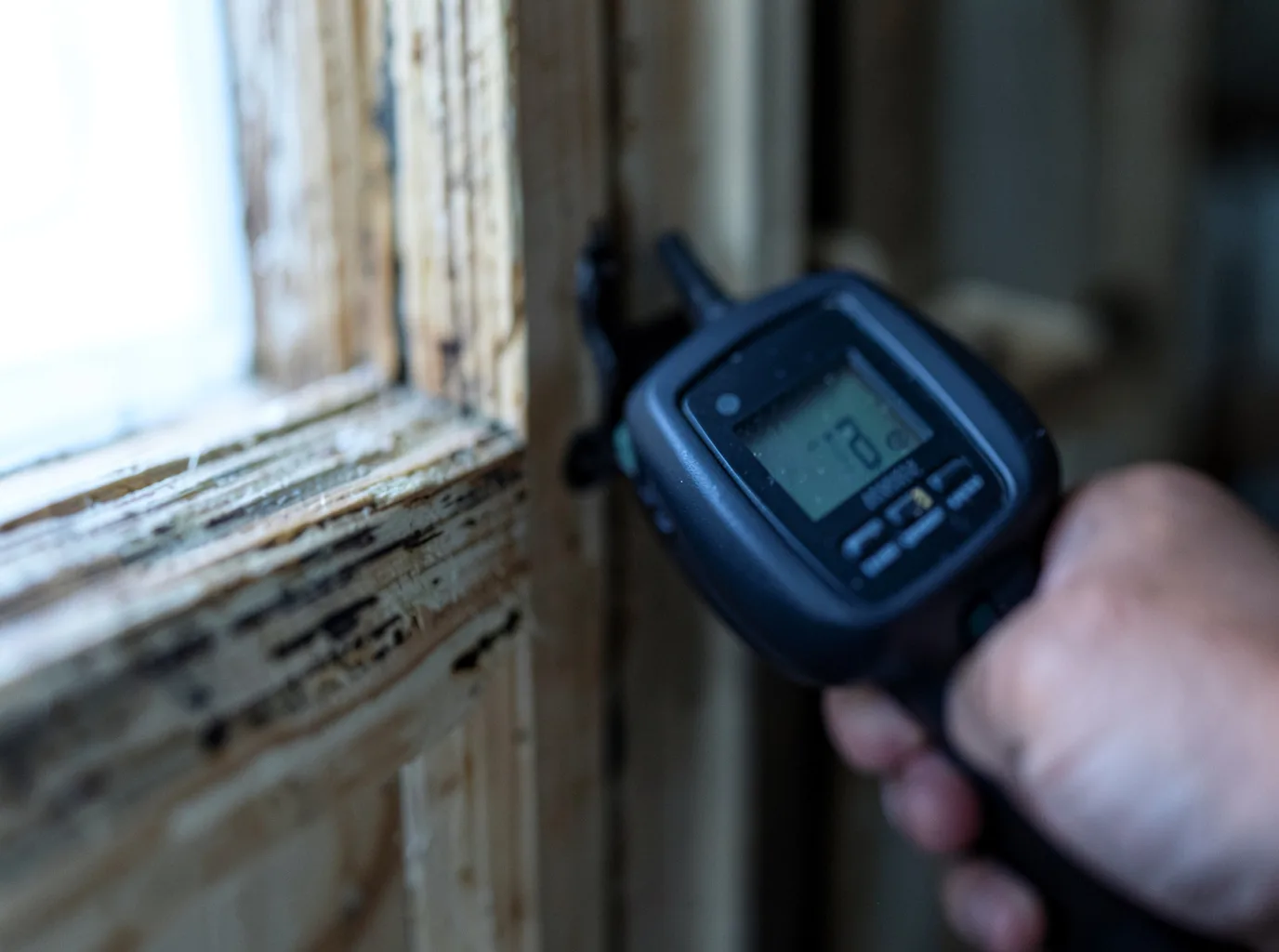 Commercial Water Damage Restoration in Ridgely, TN